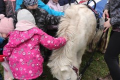 IMG_20221121_102143