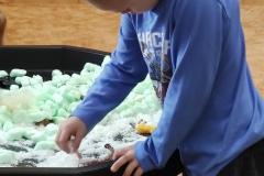 IMG_20241105_080756