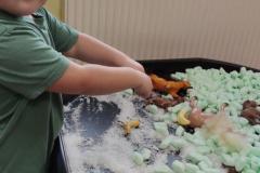 IMG_20241105_081052