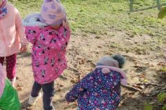 IMG_20241107_102054