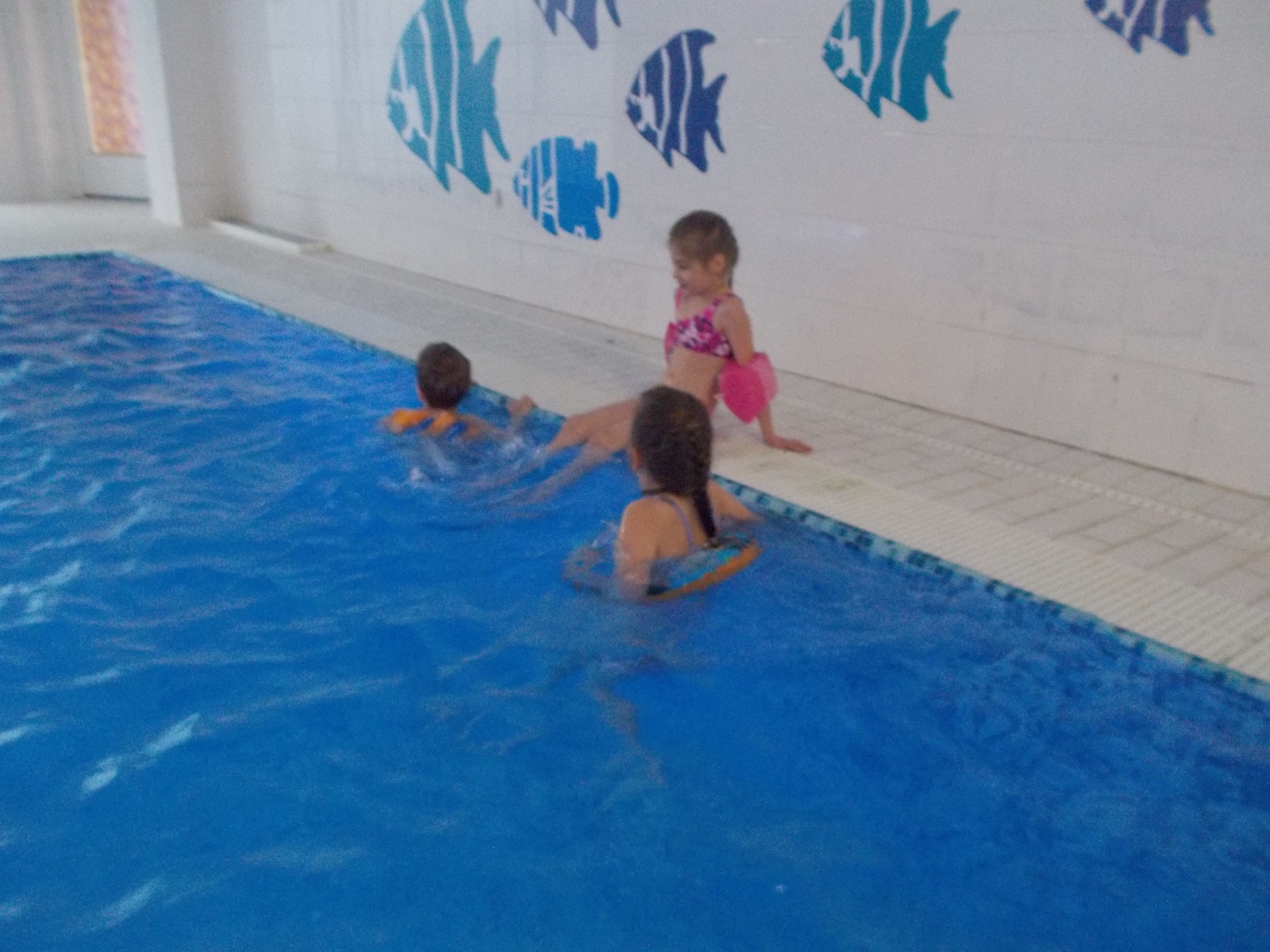 DSCN1520