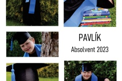 Paja