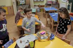 IMG_20250115_071750
