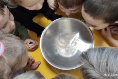 IMG_20250116_101112