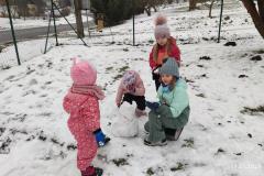 IMG_20250117_104624