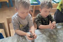 IMG_20260305_094131093_HDR_AE