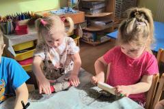 IMG_20260305_094228646_HDR_AE