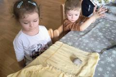 IMG_20260305_094324668_AE