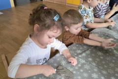 IMG_20260305_094508289_HDR_AE