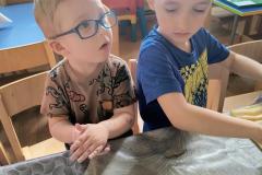 IMG_20260305_094617384_HDR_AE