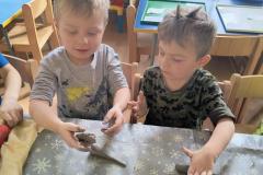 IMG_20260305_094625950_HDR_AE