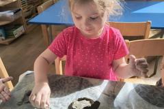 IMG_20260305_094834779_HDR_AE