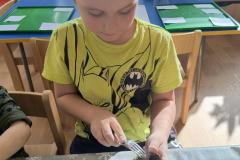 IMG_20260305_094903535_HDR_AE