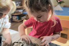 IMG_20260305_095328636_HDR_AE