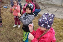 IMG_20220329_102222