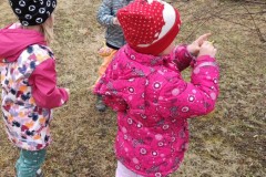 IMG_20220329_102252
