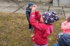 IMG_20220329_102306
