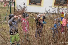 IMG_20220329_102737