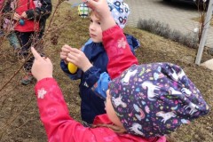 IMG_20220329_102742