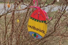 IMG_20220329_103102