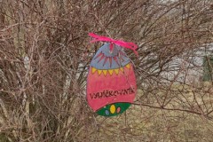 IMG_20220329_103121