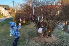 337041607_999236827724424_6056036856667065962_n