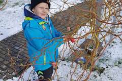 337736351_167408542456159_3362270233256079064_n