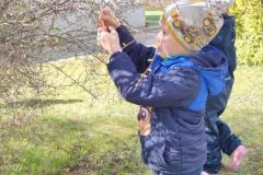 IMG_20250408_104257