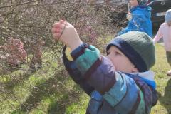 IMG_20250408_104309