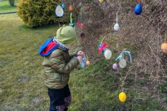 659809721_1537999521227069_5560264965165296787_n