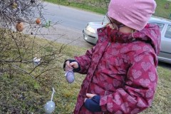 663814514_1667169621298478_5974285711357527029_n