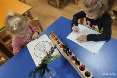 IMG_20241209_080331