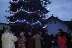 IMG_20221126_162849