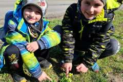 Velikonoční plotovka