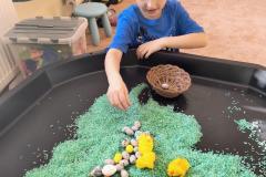 IMG_20260323_081705299_AE