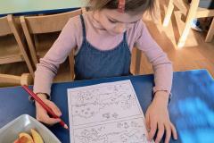 IMG_20260323_081711670_HDR_AE