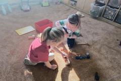 IMG_20260323_082208961_HDR_AE