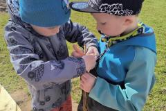 IMG_20260323_103412469_HDR_AE