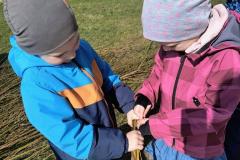 IMG_20260323_103415552_AE