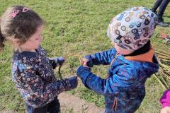 IMG_20260323_104023728_HDR_AE