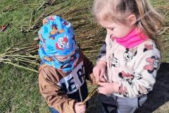 IMG_20260323_104317459_HDR_AE