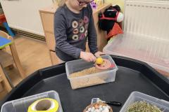 IMG_20260326_062502845_HDR_AE