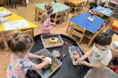 IMG_20260326_070324760_HDR_AE