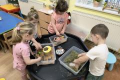 IMG_20260326_070714137_AE