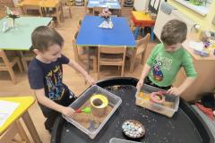 IMG_20260326_073044222_AE