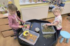 IMG_20260326_081715468_HDR_AE