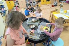 IMG_20260326_084041075_AE