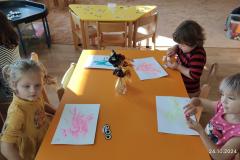 IMG_20241024_095333