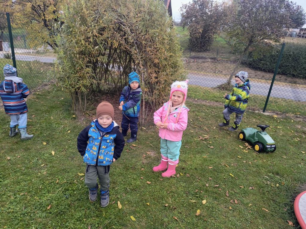 IMG_20261019_111749738_AE