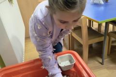 IMG_20261019_063247817_AE